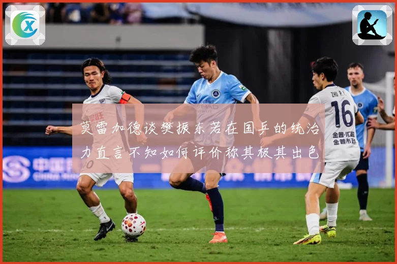 莫雷加德谈樊振东若在国乒的统治力直言不知如何评价称其极其出色数据研判：最新赛事动态与深度分析